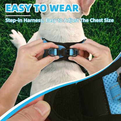 PUPTECK Dog Harness Small Sized Dog, Step in Adjustable Reflective Dog Vest Harness Escape Proof, No Pull Soft Padded Harness Easy Control, Blue, XS - color: Blue, size: XS (CHEST: 11.5"-16")