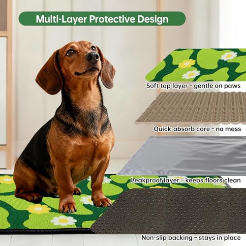Qeils Reusable Puppy Pads for Small Dogs, Washable Pee Pads with Non-Slip , Absorbent Leakproof Mat for Crates, Playpens, Pet Beds & Whelping, Indoor Potty Training Grass Green, 16"x30", 2 Pack - size: 16"x30"(Pack of 2)