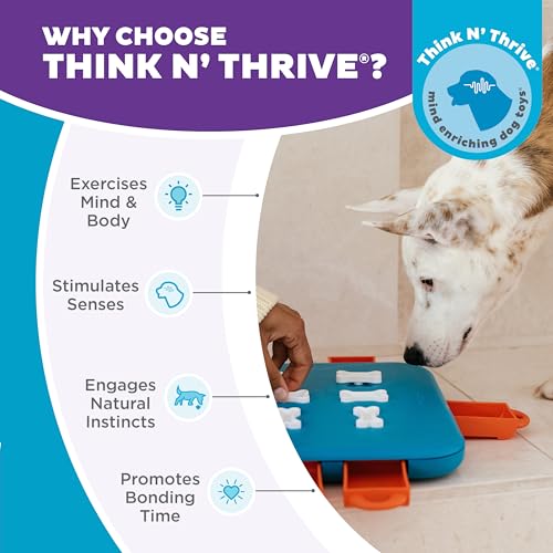 Outward Hound by Nina Ottosson Dog Casino Treat Puzzle Enrichment Toy, Level 3 Advanced, Turquoise - color: Dog Casino (Blue, Orange)