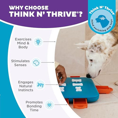 Outward Hound by Nina Ottosson Dog Casino Treat Puzzle Enrichment Toy, Level 3 Advanced, Turquoise - color: Dog Casino (Blue, Orange)