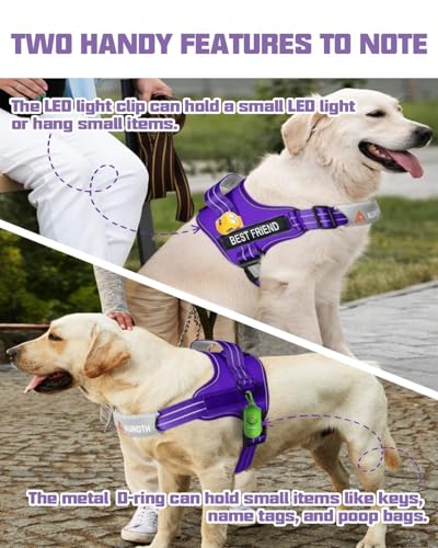 AUROTH Dog Harness and Leash Set, Soft Padded Service Dog Vest with 5.25FT Dog Leash, No Choke, Easy On Pet Vest, Adjustable Reflective No Pull Dog Harness Small Sized Dog, Easy Walking and Training - color: Purple, size: Small