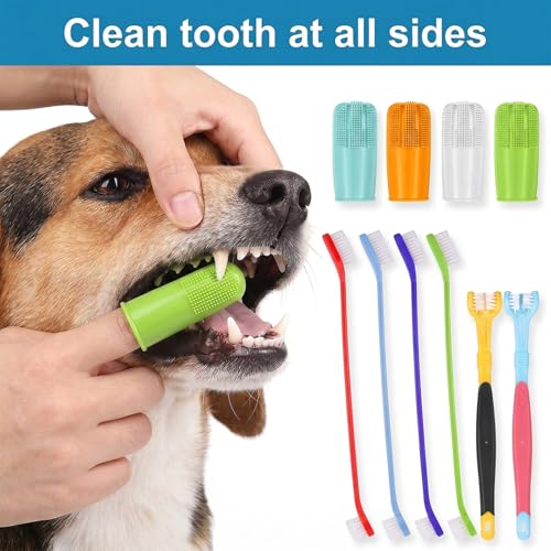 10 Pack Dog Tooth Brushing Kit, Pet Dog Toothbrush 2 Triple Head Pet Toothbrushes 360 Degree Finger Toothbrushes 4 Double Head Tooth Brush Dental Cleaning Brushes for DogCat Oral Dental Health