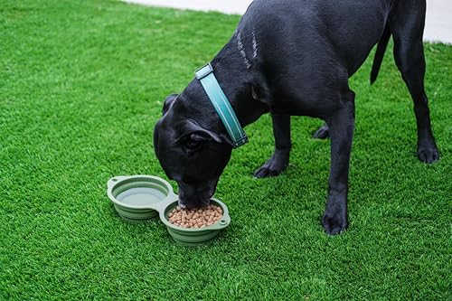 Hitt Brands Collapsible Dog Bowl – Portable Foldable Silicone Pet Water & Food Bowl, Expandable Travel Dog Bowls for Hiking, Camping, Walking & Puppy Essentials