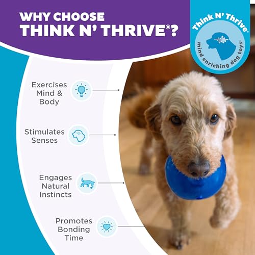 Outward Hound by Planet Dog Lil' Snoop Dog Toy – Treat‑Dispenser Puzzle Ball, Interactive Slow Feeder, Small to Medium Dogs, Bouncy & Mint-Infused, Blue, 3.9" - color: Blue Lil Snoop