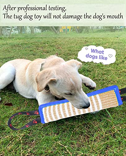Clysoru Dog Tug Toy Tough Jute Bite Pillow Lasting Training Equipment Puppy to Large Dogs Interactive for Large and Small - color: footprint Blue