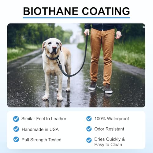 DogTraxs Essential Biothane Dog Leash, 3/4 in x 5 ft, Emerald Green | Waterproof, For Small, Large, Medium Dogs, Dog Training, Locking Carabiner - color: Emerald Green, size: 3/4 In x 5 Feet