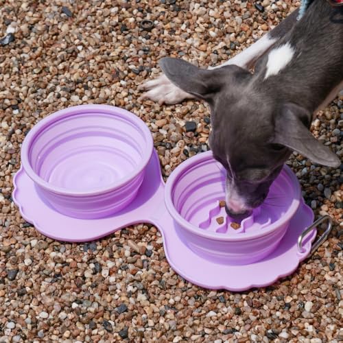 Collapsible Silicone Dog Bowl (Purple) - color: Purple