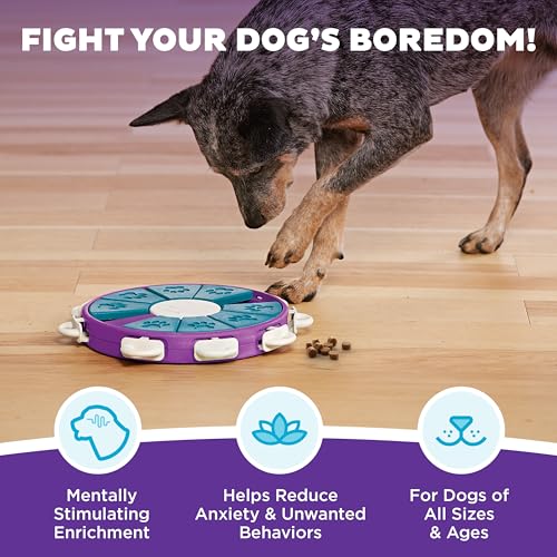 Outward Hound by Nina Ottosson Dog Twister – Interactive Treat Puzzle Enrichment Toy, Level 3 Advanced - color: Dog Twister (Purple, Blue)