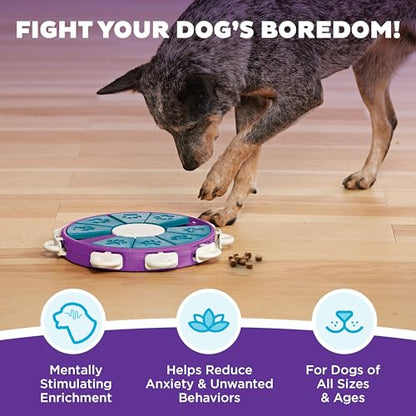 Outward Hound by Nina Ottosson Dog Twister – Interactive Treat Puzzle Enrichment Toy, Level 3 Advanced - color: Dog Twister (Purple, Blue)