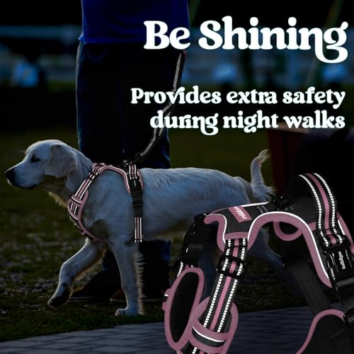 rabbitgoo Dog Harness Small Sized, No Pull Easy On & Off with 3 Buckles Pet Harness, Adjustable Soft Walking Vest with 2 Clips and Handle, Reflective for Small Dogs, Black & Pink, S - color: Black & Pink, size: Small