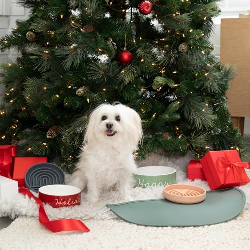 Should We Go? Waterproof Silicone Dog Food Mat – Large Size Non-Slip Pet Bowl Mat, Raised Edge Design, Easy-to-Clean Pet Food Placemat for Dog & Cat Bowls, 28" Across x 14" Deep - Charcoal - color: Charcoal, size: Large