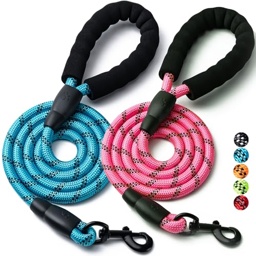 2 Pack Dog Leash, 4/5//6 FT Heavy Duty Nylon Rope Pet Leashes with Comfortable Padded Handle, Reflective Dog Leashes for Small Medium and Large Dogs (4FT-1/2,Blue/Pink) - color: 2PCS-Blue+Pink, size: 1/2"x 4 FT (18~120 lbs.)