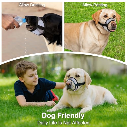 Dog Muzzle with Escape-Proof Elastic Neck Collar, Soft Breathable Air Mesh Mouth Cover Stops Biting Barking Chewing Allows Drinking Panting, Adjustable Muzzle for Small Medium Large Dogs - color: Black/Gray, size: XS
