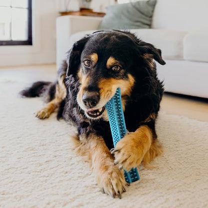 Playology Dog Toys | Dental Chew Stick for Large Senior Dogs | Peanut Butter Scented Jumbo Toy | Dog Chew Toy for Healthy Teeth and Gums - size: Jumbo Chew Stick, style: Peanut Butter