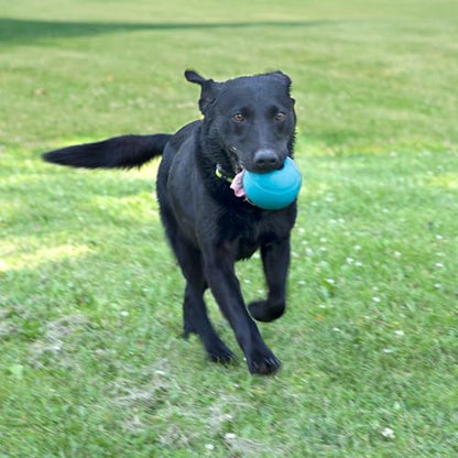 Chew King Fetch Balls Extremely Durable Natural Rubber Toy 4 inch, 2 Pack (CM-10031-CS01) - color: 2-Pack (4" Balls)