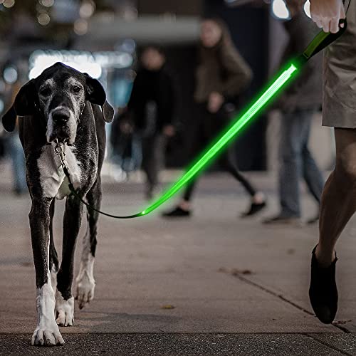 Candofly Glowing LED Dog Leash, Rechargeable Pet Leash with Lights, 4 Ft Light Up Dog Leash for Night Walking Keep Your Pets Visible (Neon Green) - color: Neon Green