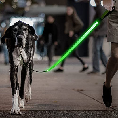Candofly Glowing LED Dog Leash, Rechargeable Pet Leash with Lights, 4 Ft Light Up Dog Leash for Night Walking Keep Your Pets Visible (Neon Green) - color: Neon Green