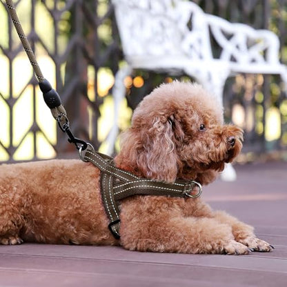 Plutus Pet No Pull Dog Harness with Breathable Mesh Padded, Adjustable Reflective Escape Proof Dog Harness, Quick Fit Dog Vest Harness for Small Medium Large Dogs(XS, Chocolate) - color: Chocolate, size: XS: chest 13.8"-17.3"