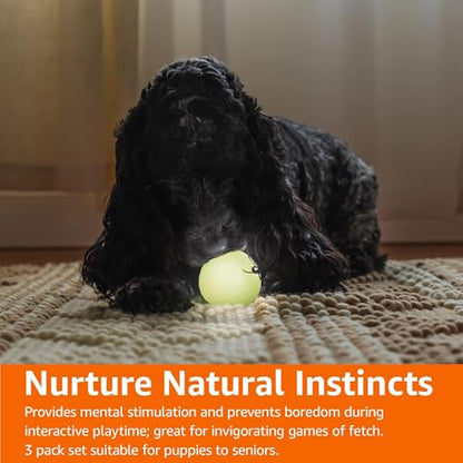 Amazon Basics Interactive Bouncy Durable Rubber Dog Toy Balls, Glow, 2.5 inch, Beige, Pack of 3 - size: 2.5 inch, style: Glow Balls (Pack of 3)