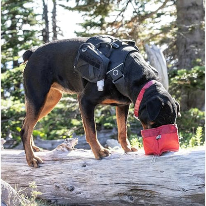 Kurgo Zippy Bowl for Dogs, Collapsible Travel Dog Bowls, Pet Food & Water Hiking Container, Food Grade Silicone, Travel Accessories for Pets, Includes Carabiner, Holds 48 oz (Barn Red) - color: Red