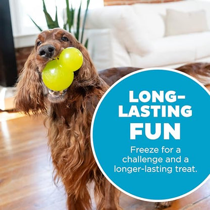 Outward Hound Double-Tuff Stuffable Dog Toy, Large 5-Inch Green - Treat Dispensing Chew Ball for Medium to Large Dogs, Interactive Puzzle for Enrichment & Slow Feeding - color: Double-Tuff Stuffable (Green)