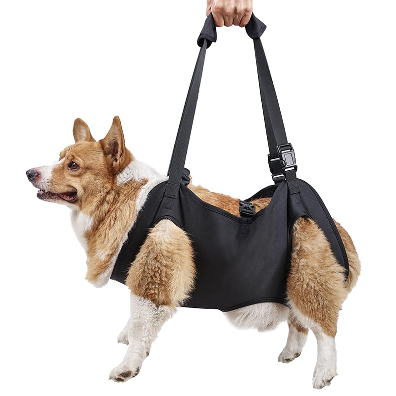 Dog Lift Harness,Full Body Dog Sling Carrier with Handle,Total Body Support for Dogs,Pet Dog Leg Support Sling Adjustable Retractable Breathable Lift Harness (L) - size: L
