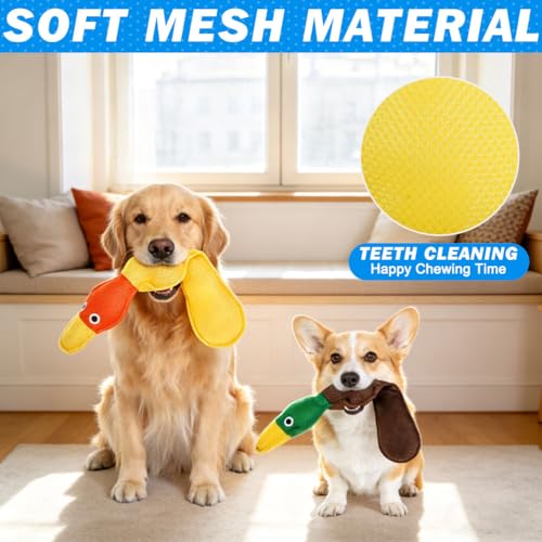 EXPAWLORER Floating Dog Water Pool Toys - 2 Pack Stuffed Duck Dog Toys Long, Pet Summer Essentials for Fetch & Training, Built-in Squeaky Ball Loud Sound for Small Medium Large Breeds, Yellow