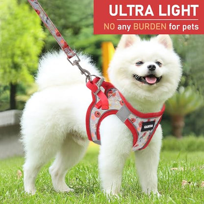 GAMUDA Small Dog Harness Collar and Leash Set, Step in No Chock No Pull Soft Mesh Adjustable Dog Vest Harnesses Plaid Reflective for Dogs Puppy Cats Kitten Rabbit (Red Flower, XXS) - color: Red Flower, size: XXS