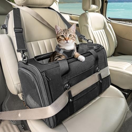 PETSFIT Soft-Sided Cat Carrier with Patented Safety Buckles, Lockable Zippers & Safety Tether,Escape-Resistant Travel Pet Carrier for Car Rides & Vet Visits, Airline Approved Under-Seat, Up to 12 lbs - color: Black, size: 18.0"L x 11.0"W x 11.0"H