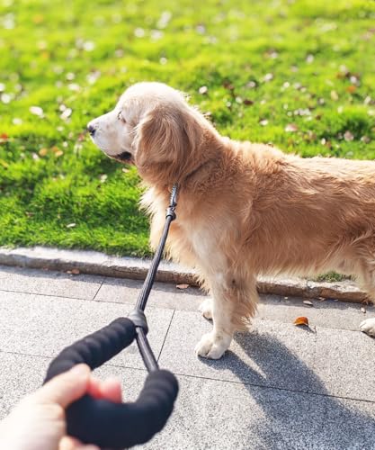 3FT Rope Leash for Medium Large Dogs, Comfortable Padded Handle Classic Dog Leash