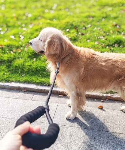 3FT Rope Leash for Medium Large Dogs, Comfortable Padded Handle Classic Dog Leash