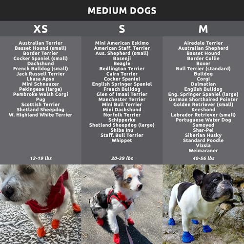 PawZ Rubber Dog Boots for Medium Paws - All-Weather Waterproof Dog Shoes, Anti-Slip Traction for Rain, Snow, Mud & Hot Pavement - Pull-On Dog Booties, Black - Medium (2.5" - 3") - Pack of 24 - size: M