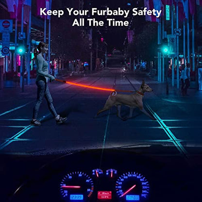 Colaseeme LED Light Up Dog Leash, USB Rechargeable (4FT,Red) | Glow in dark, reflective, USB-C rechargeable, bright LED for night safety, fits small to large dogs - color: Red, size: 4FT