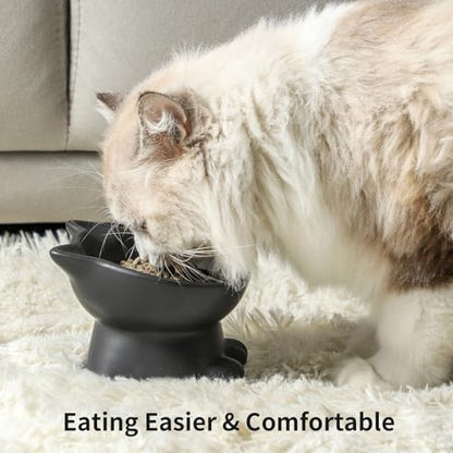 Nihow Slanted Elevated Cat Bowls: 5 Inch Ceramic Raised Cat Food Bowl for Protecting Pet's Spine - Microwave & Dishwasher Safe -Matte Black (4.5 OZ /1 PC) - color: Matte Black, size: 4.5 OZ