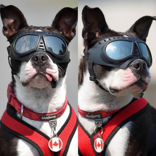 Namsan Dog Goggles Small Breed, Wide Snout & Soft Frame, Tactical Driving Sunglasses for Dogs Small to Medium Breed, Anti-UV Dog Eye Protection, Windproof Dustproof, Adjustable, Silver Lens - color: (Small)Silver Lens