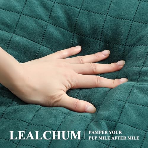 Lealchum Dog Car Seat for Medium/Large Dogs,2 Clip-On Safety Leashs for 2 Small Dogs,Removable and Washable Comfy Pet Car Seat,Easy to Install and Clean (Green, Large) - color: Green