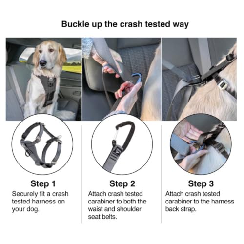 Kurgo Enhanced Strength Tru-Fit Dog Car Harness - Pet Travel Safety Harness - Crash Test Certified Fit - Five Point Adjustment - Secure Buckle - Padded Chest - Charcoal - Small