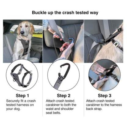 Kurgo Enhanced Strength Tru-Fit Dog Car Harness - Pet Travel Safety Harness - Crash Test Certified Fit - Five Point Adjustment - Secure Buckle - Padded Chest - Charcoal - Small