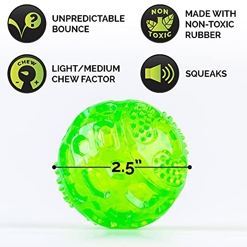 Hyper Pet DuraSqueak Dog Ball Toy, Interactive Dog Toys that Float and Squeaks for Playing, Fetching and Retrieving-Great Alternative to Traditional Tennis Balls Green 2.5 Inch - size: 2.5 Inch
