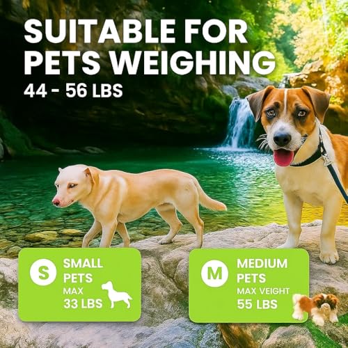 Retractable Dog Leash for Small and Medium Dogs, 3 in 1 Kit with Waste Bag Dispenser & Rope Toy, Controlled Walking Leash
