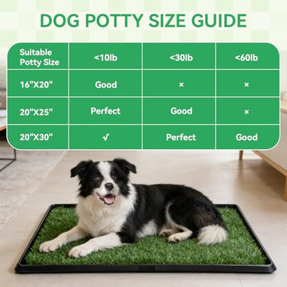 Dog Grass Pad with Tray,16"x20" Dog Litter Box, Artificial Turf Potty System with 2 Reusable Grass Patches + Washable Pee Pads, Portable Indoor Outdoor for Balcony Patio Apartment - size: Small-2 Grass Pad with Changing pad