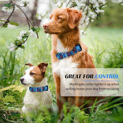 Hikiko Dog Collar for Small Medium Large Dogs, Adjustable Nylon Martingale Collars with Quick Release Buckle (Blue Plaid,M) - color: Blue Plaid, size: Medium