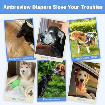 Ambreview Dog Diapers Female, Disposable Pull Up Doggie Diapers for Female Dogs, Ultra Absorbent & Anti-Side Leakage, Stretchy Diaper for Dogs in Heat/Elderly/Disabled (M,10Count) - size: M(Waist 11.8"-19.7")