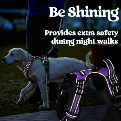 rabbitgoo Dog Harness Small Sized, No Pull Pet Harness with 3 Buckles, Adjustable Soft Padded Vest with Control Handle, Walking Reflective Pet Vest for Small Dogs, Purple, S - color: Purple, size: Small