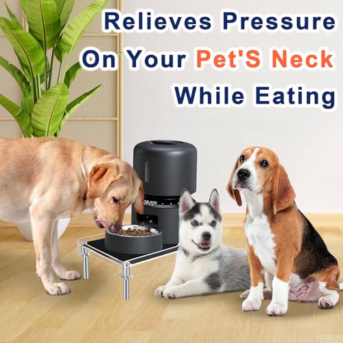 Beautyflier Raised Dog Feeder Stand Elevated Holder for Automatic Cat & Dog Feeders Pet Water Bowl Dispenser Stand Adjustable Fits Small Jugs Holds 5KG, Black (Holder ONLY) - color: Clear
