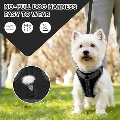 No-Pull Dog Harness with Dog Leash Breathable Mesh Adjustable Soft Padded Pet Vest Reflective for Small/Medium/Large Dogs Walking, Training - color: Black, size: L