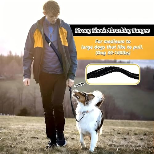 Heavy Duty Hands Free Dog Leash with Car Safety Buckle | Up to 200 lbs | Shock Absorbing Bungee for Walking, Jogging and Running Leash | Reflective Padded Handles, 6.3 to 9.7 FT - color: Black