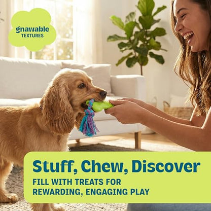 Bone Mini Dog Chew Toy & Treat Stuffer for Teething Puppies & Small Dogs up to 20 lbs, Bounces & Floats, Textured for Dental Support, Moderate Chewers, 5.5" (Pack of 4) - size: Mini (Pack of 4)
