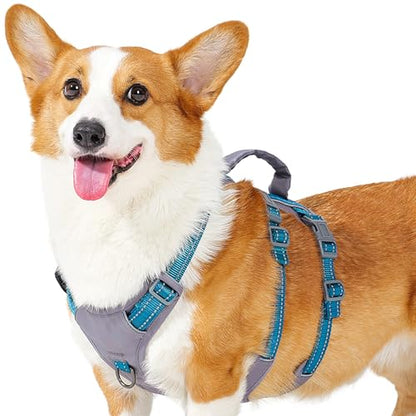 Huntboo Reflective Dog Harness with Handle, Escape Proof, No Slip, Breathable, Lightweight, Adjustable Lift Harness for Small, Medium, and Large Dogs Walking, Training, and Running Gear(Teal Blue,M) - color: Teal Blue, size: Medium (Pack of 1)