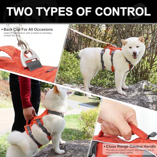 Escape Proof Dog Harness Small Sized Dog, Lightweight Full Body Pet Vest with Lift Handle & Leash Clip, Reflective Adjustable No Slip Dog Harness for Daily Walking(Vermilion,Chest:16-27") - color: Vermilion, size: S: Chest 16-27", Fit 12-25 lbs